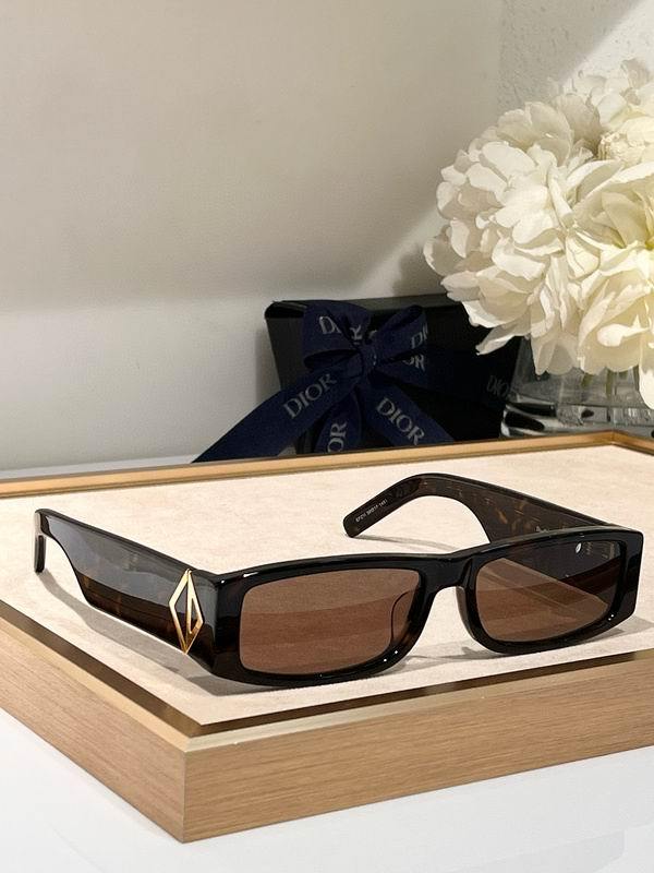 DIOR Sunglasses 227